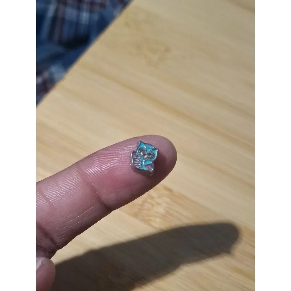 Turquoise and Pink Owl Floating Locket Charm